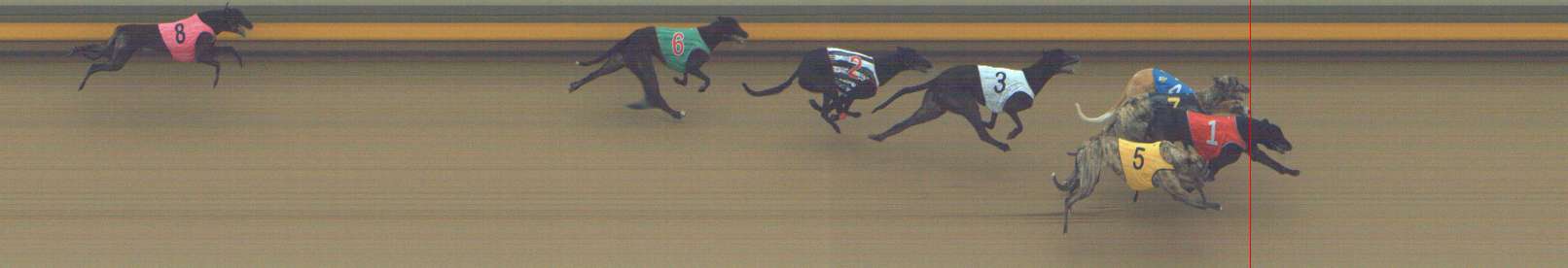 Race result finish photo