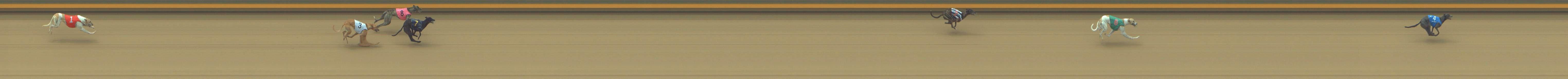 Photo finish for Shepparton Race 5
