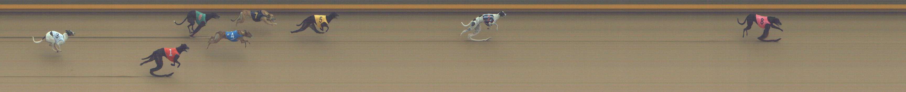 Photo finish for Shepparton Race 6