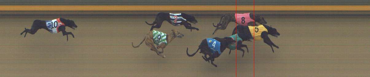 Photo finish for Shepparton Race 7