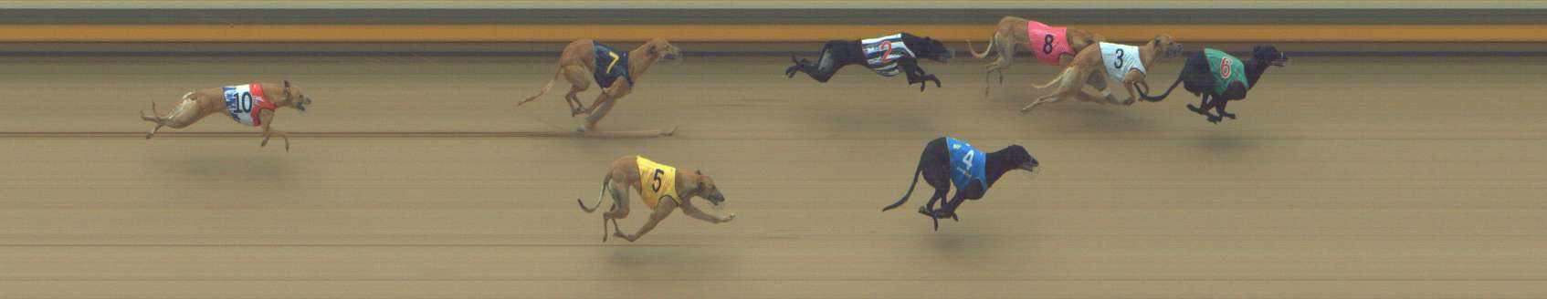 Race result finish photo