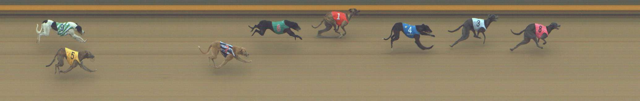 Photo finish for Shepparton Race 9