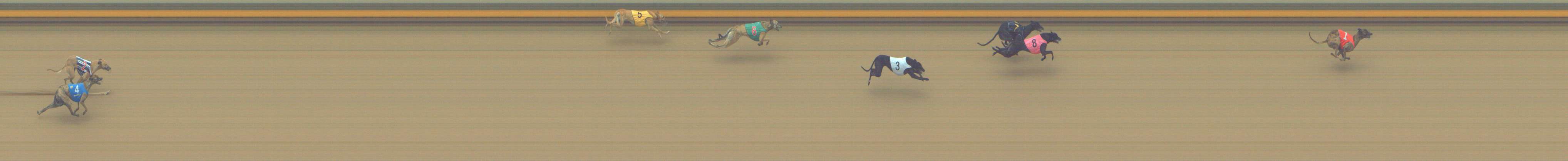 Photo finish for Shepparton Race 10