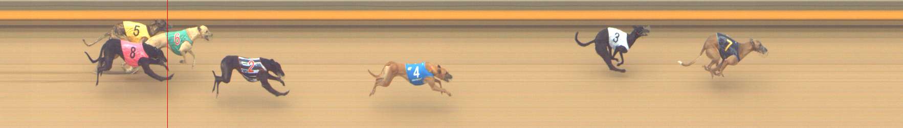 Photo finish for Shepparton Race 11