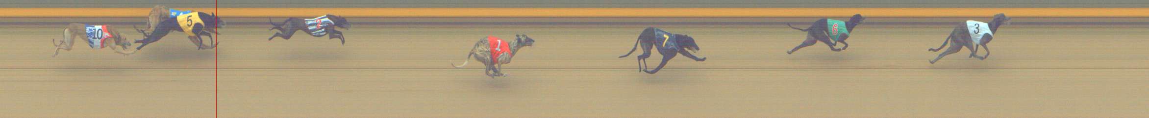 Photo finish for Shepparton Race 12