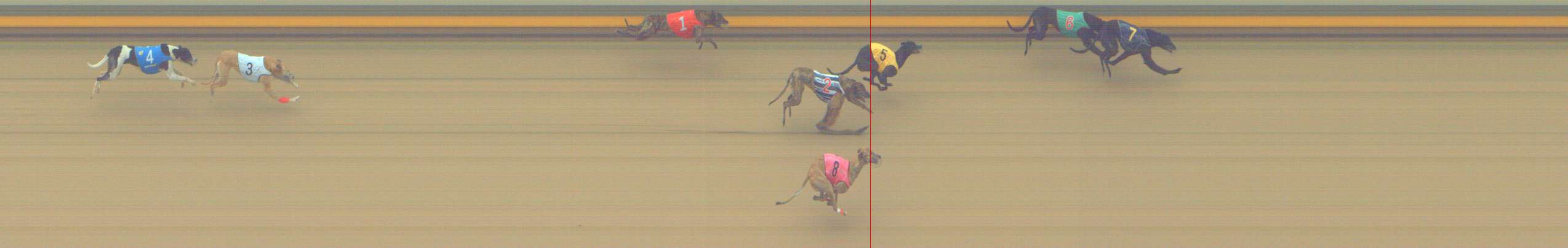 Race result finish photo