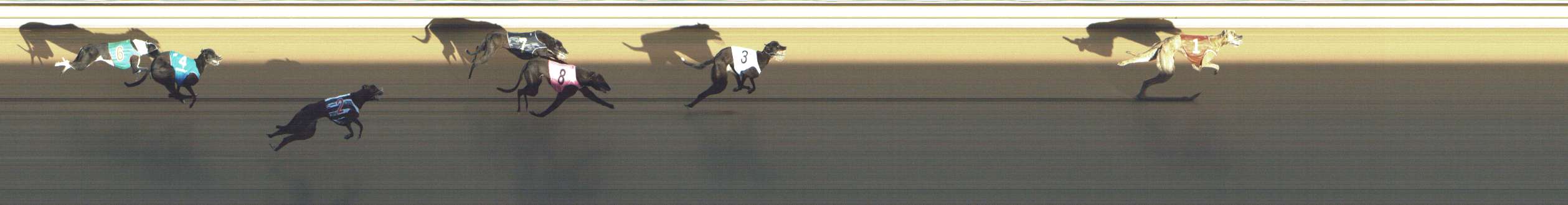 Race result finish photo