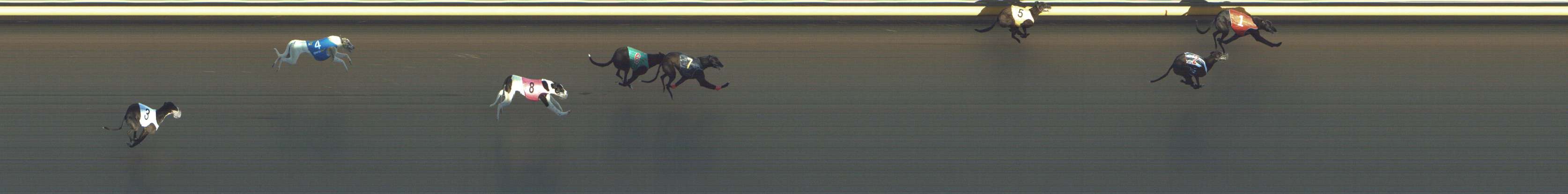 Photo finish for Shepparton Race 2