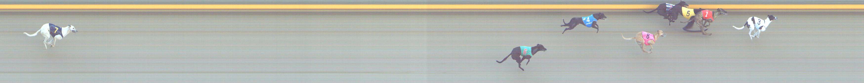 Photo finish for Shepparton Race 3