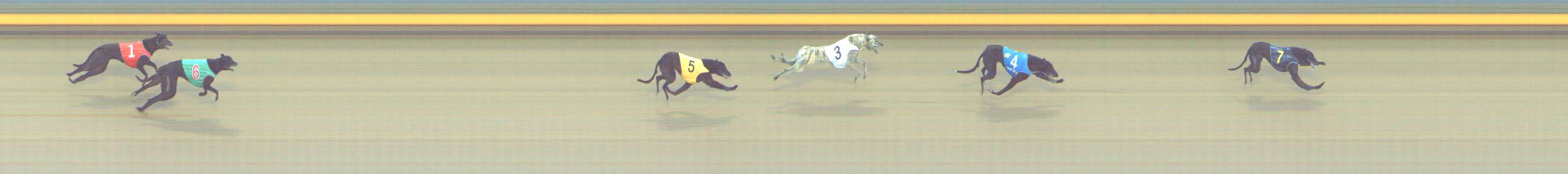 Photo finish for Shepparton Race 4