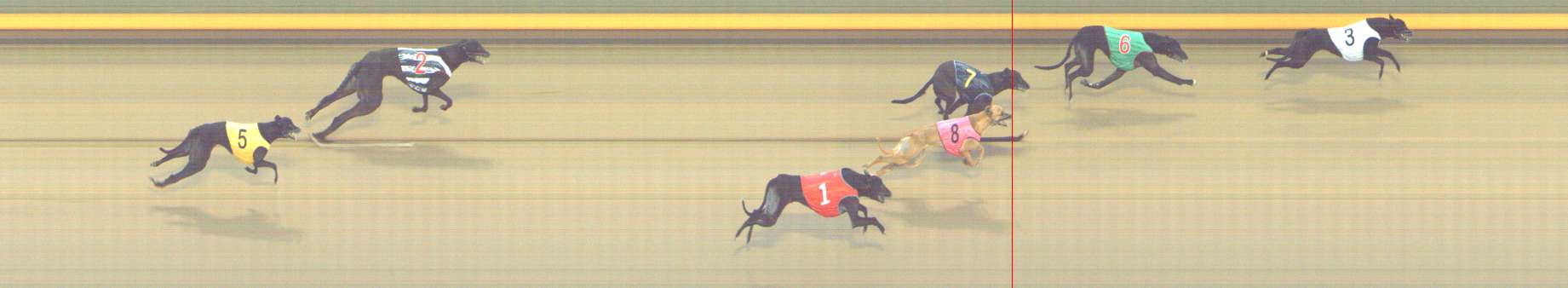Photo finish for Shepparton Race 5