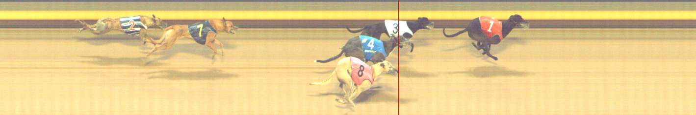 Photo finish for Shepparton Race 6