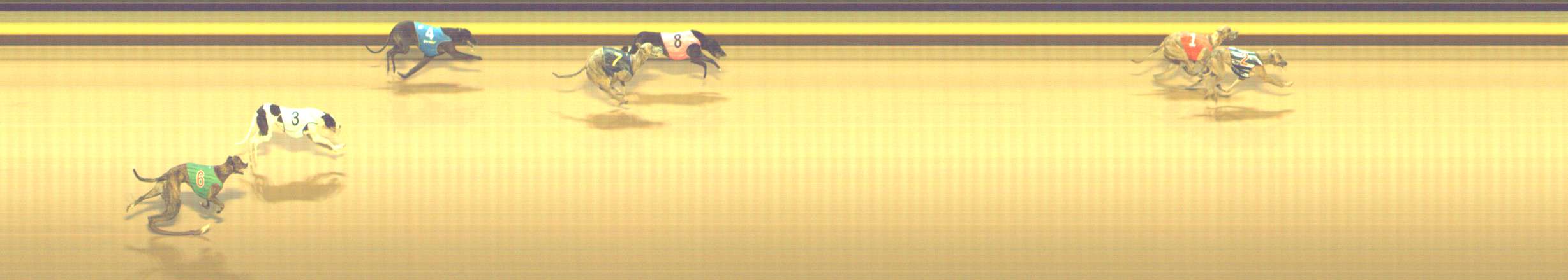 Photo finish for Shepparton Race 7