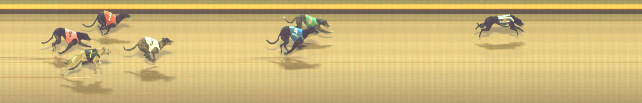 Photo finish for Shepparton Race 8