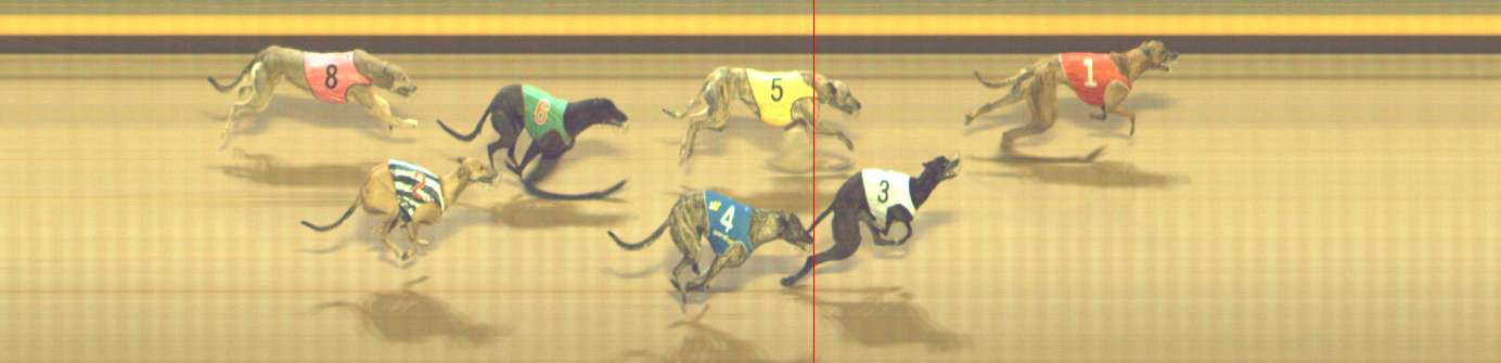 Photo finish for Shepparton Race 9