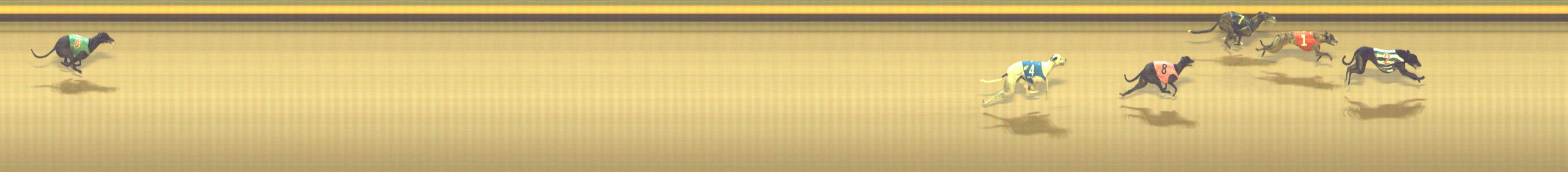 Photo finish for Shepparton Race 10