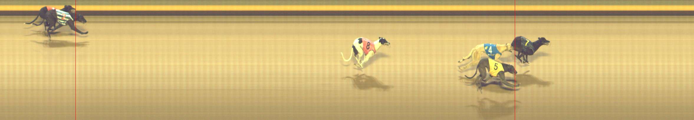 Photo finish for Shepparton Race 12