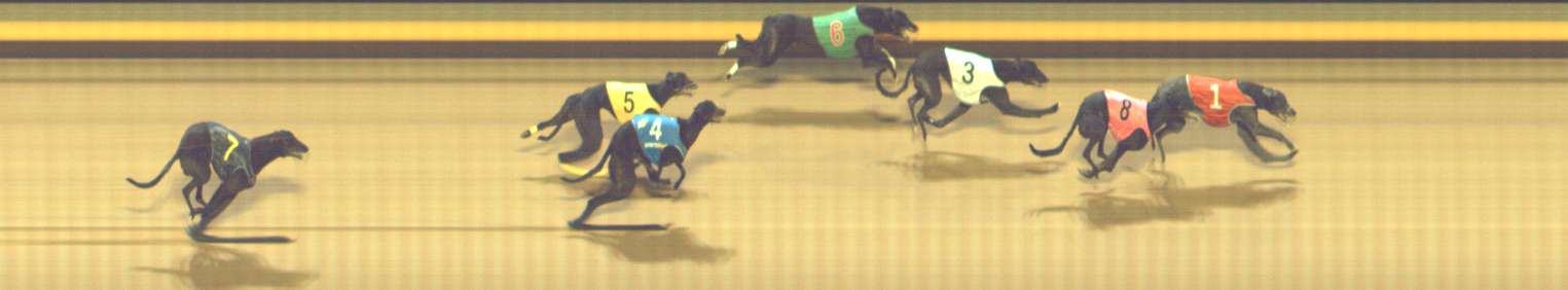 Photo finish for Shepparton Race 13