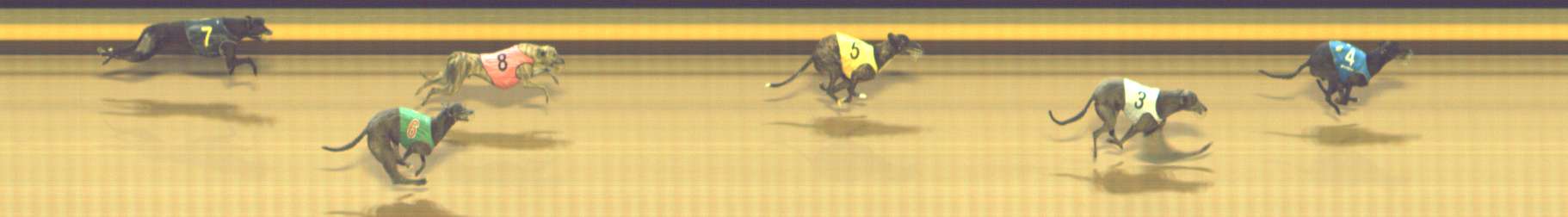 Photo finish for Shepparton Race 14