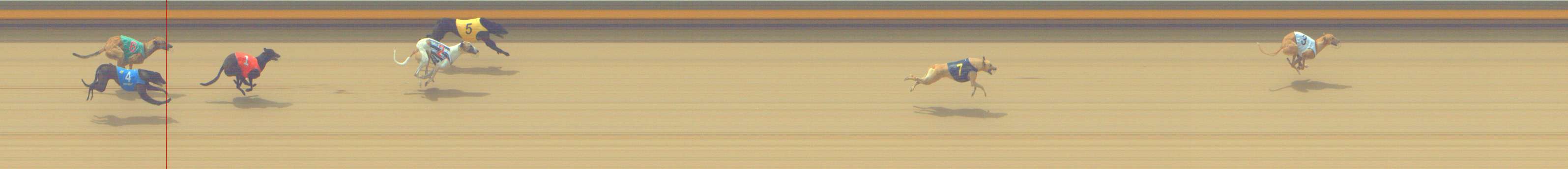 Photo finish for Shepparton Race 1