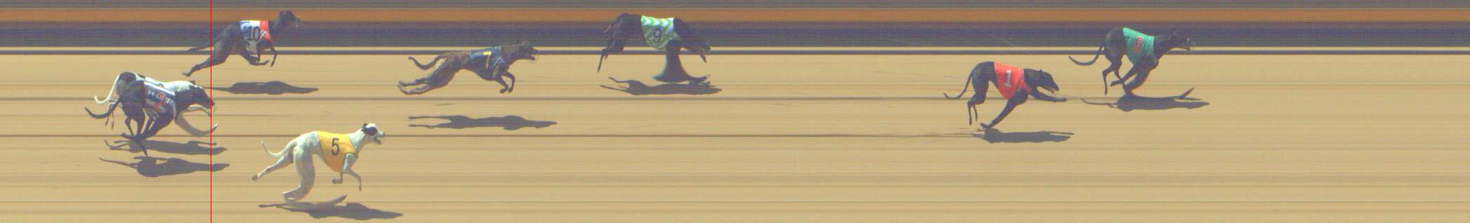 Photo finish for Shepparton Race 2