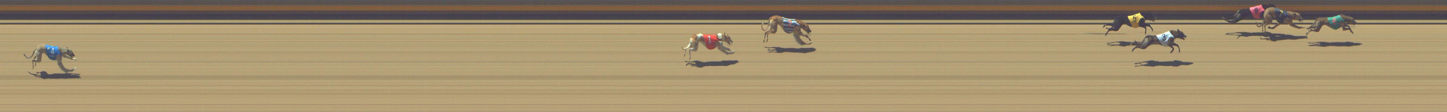 Photo finish for Shepparton Race 3