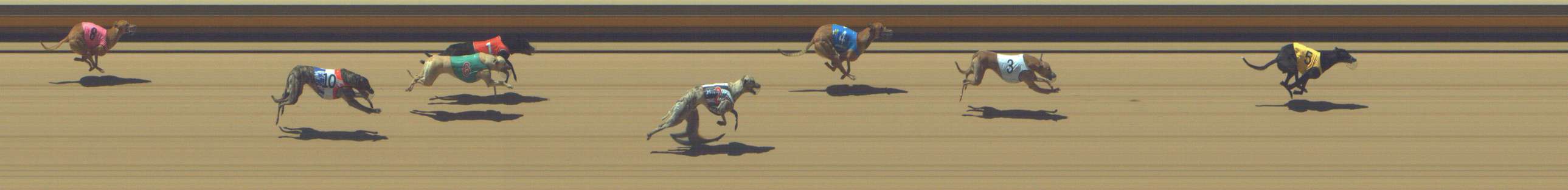 Photo finish for Shepparton Race 4