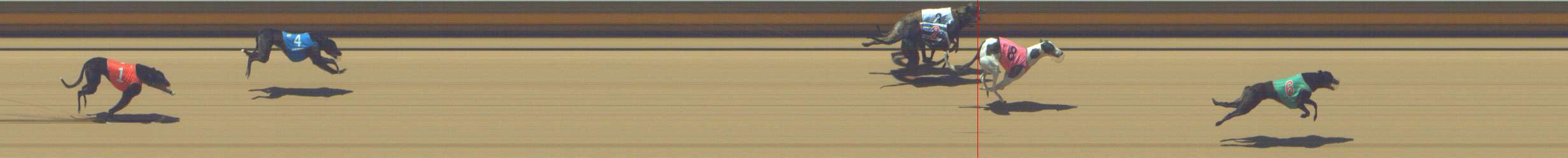 Photo finish for Shepparton Race 5