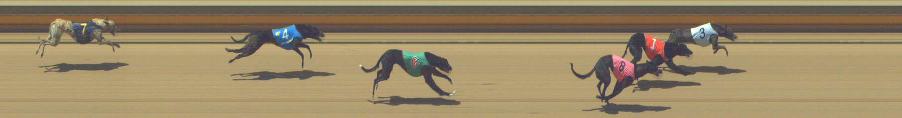 Photo finish for Shepparton Race 6