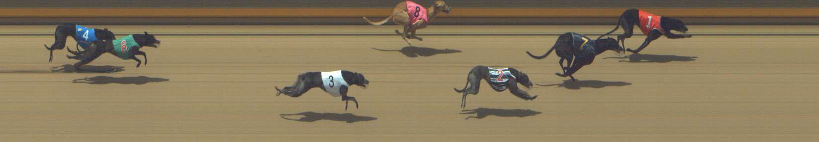Photo finish for Shepparton Race 7