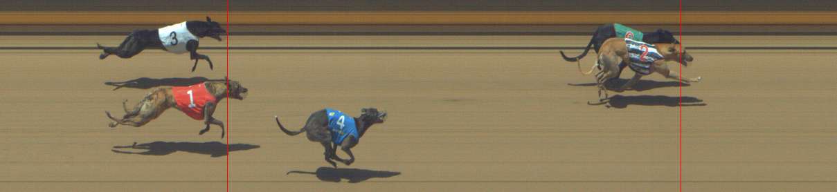 Photo finish for Shepparton Race 8