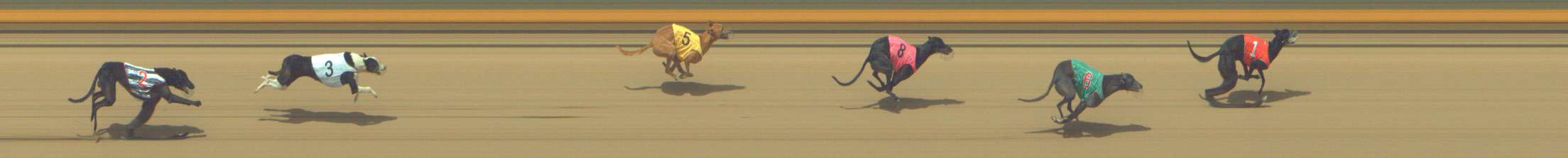 Photo finish for Shepparton Race 9