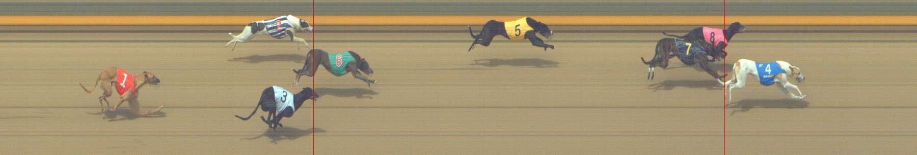 Photo finish for Shepparton Race 10