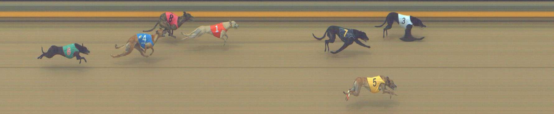 Photo finish for Shepparton Race 11