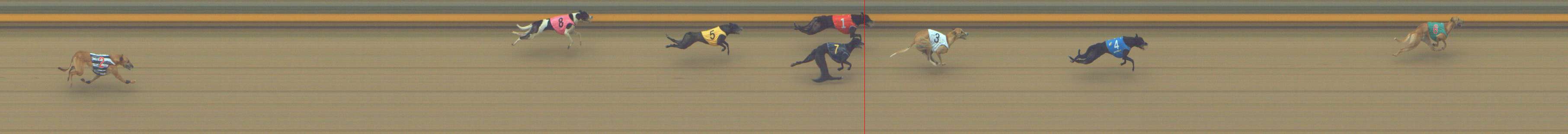 Photo finish for Shepparton Race 12