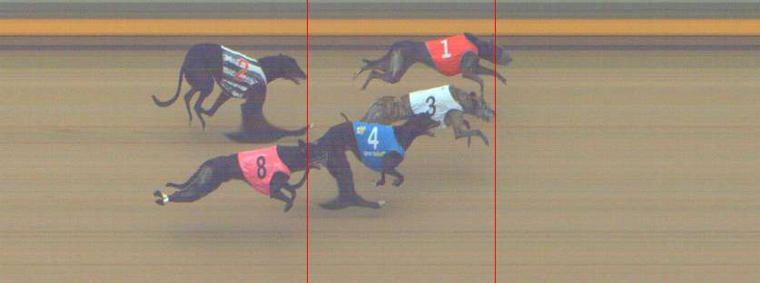 Photo finish for Shepparton Race 13