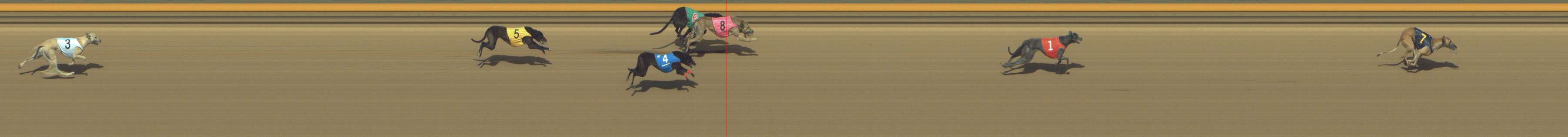 Photo finish for Shepparton Race 14