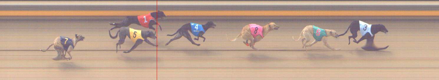 Photo finish for Shepparton Race 1