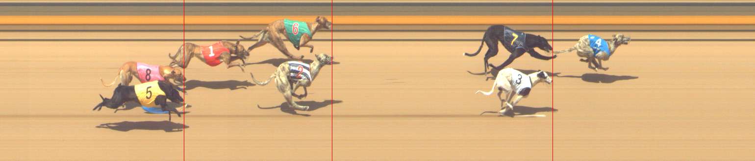 Photo finish for Shepparton Race 10