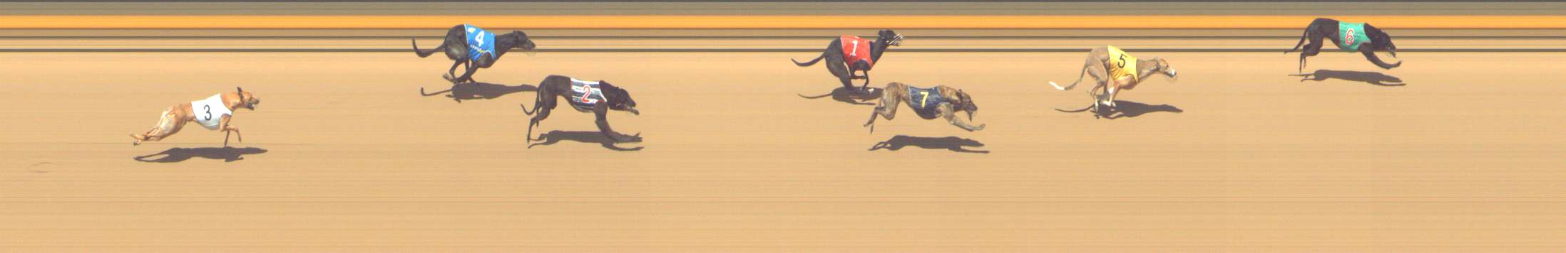 Photo finish for Shepparton Race 11