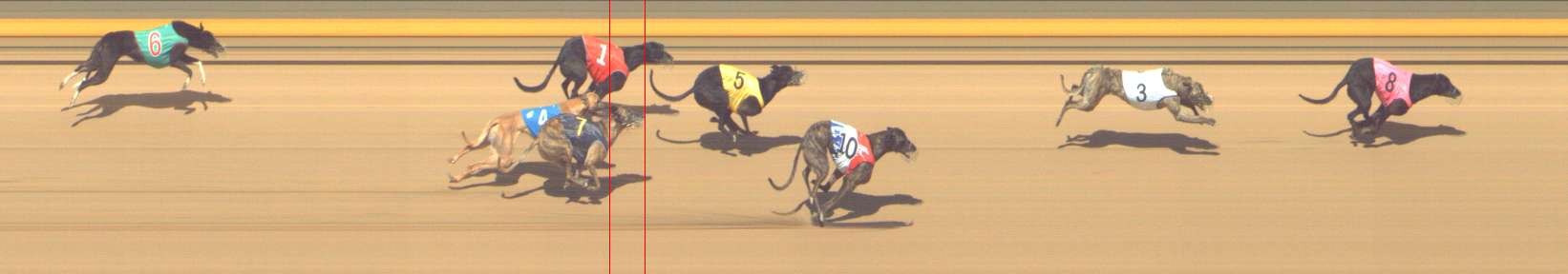 Photo finish for Shepparton Race 13