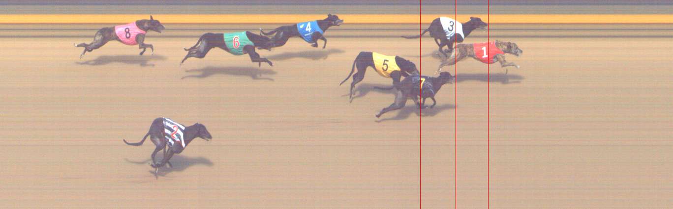 Photo finish for Shepparton Race 14