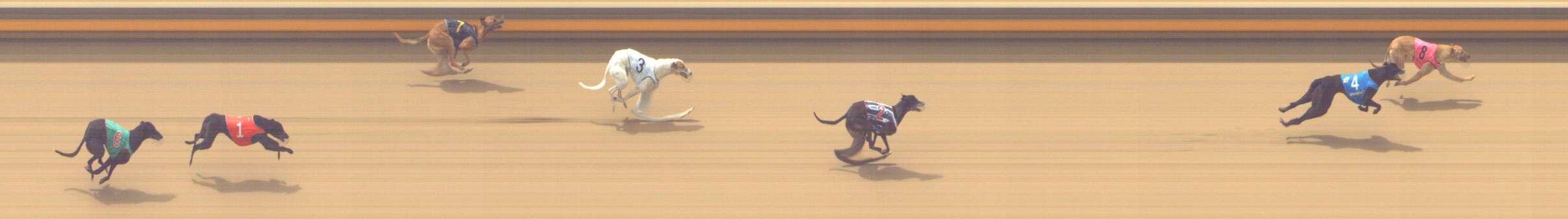 Photo finish for Shepparton Race 2