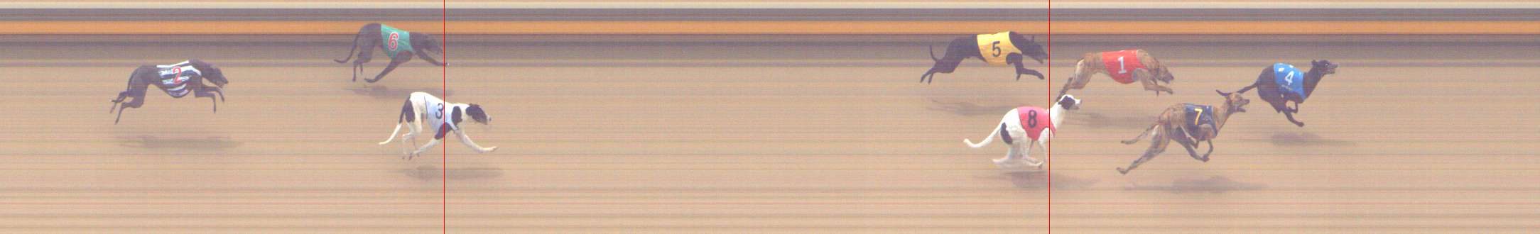 Photo finish for Shepparton Race 3