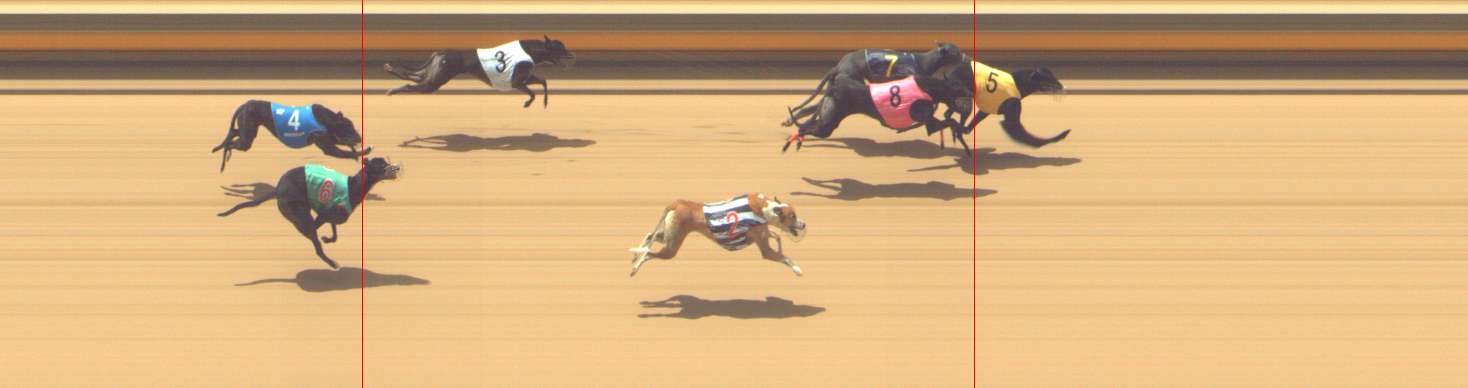 Photo finish for Shepparton Race 4