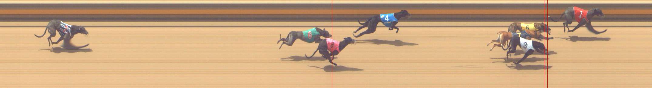 Photo finish for Shepparton Race 5