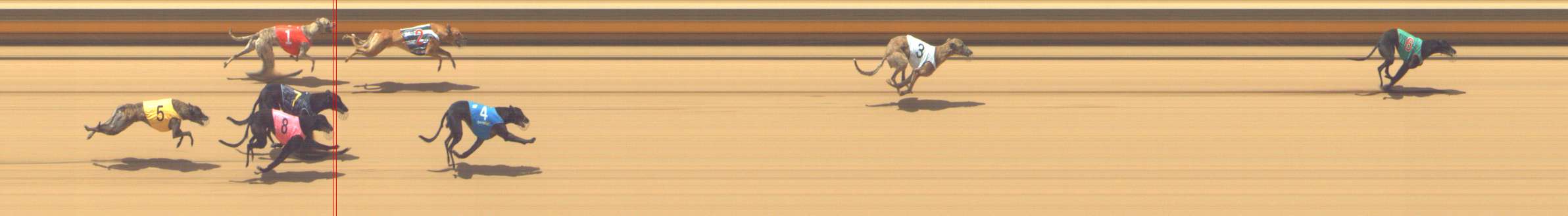 Photo finish for Shepparton Race 6