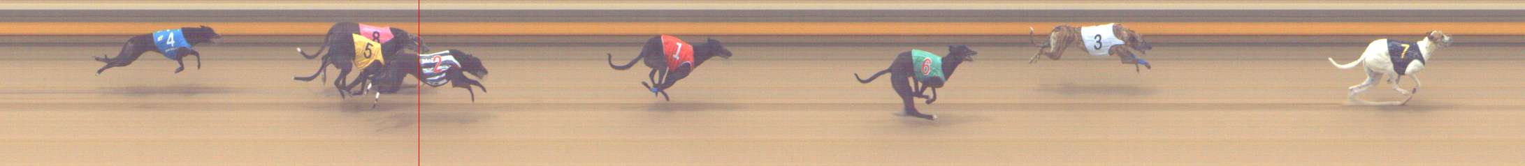 Photo finish for Shepparton Race 7