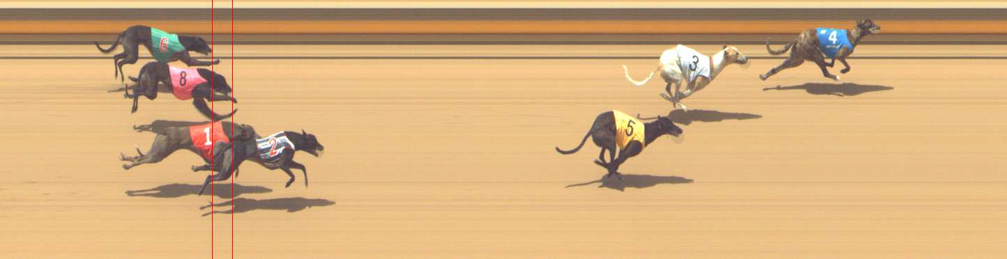 Photo finish for Shepparton Race 8