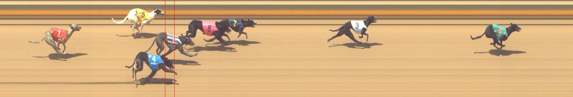 Photo finish for Shepparton Race 9